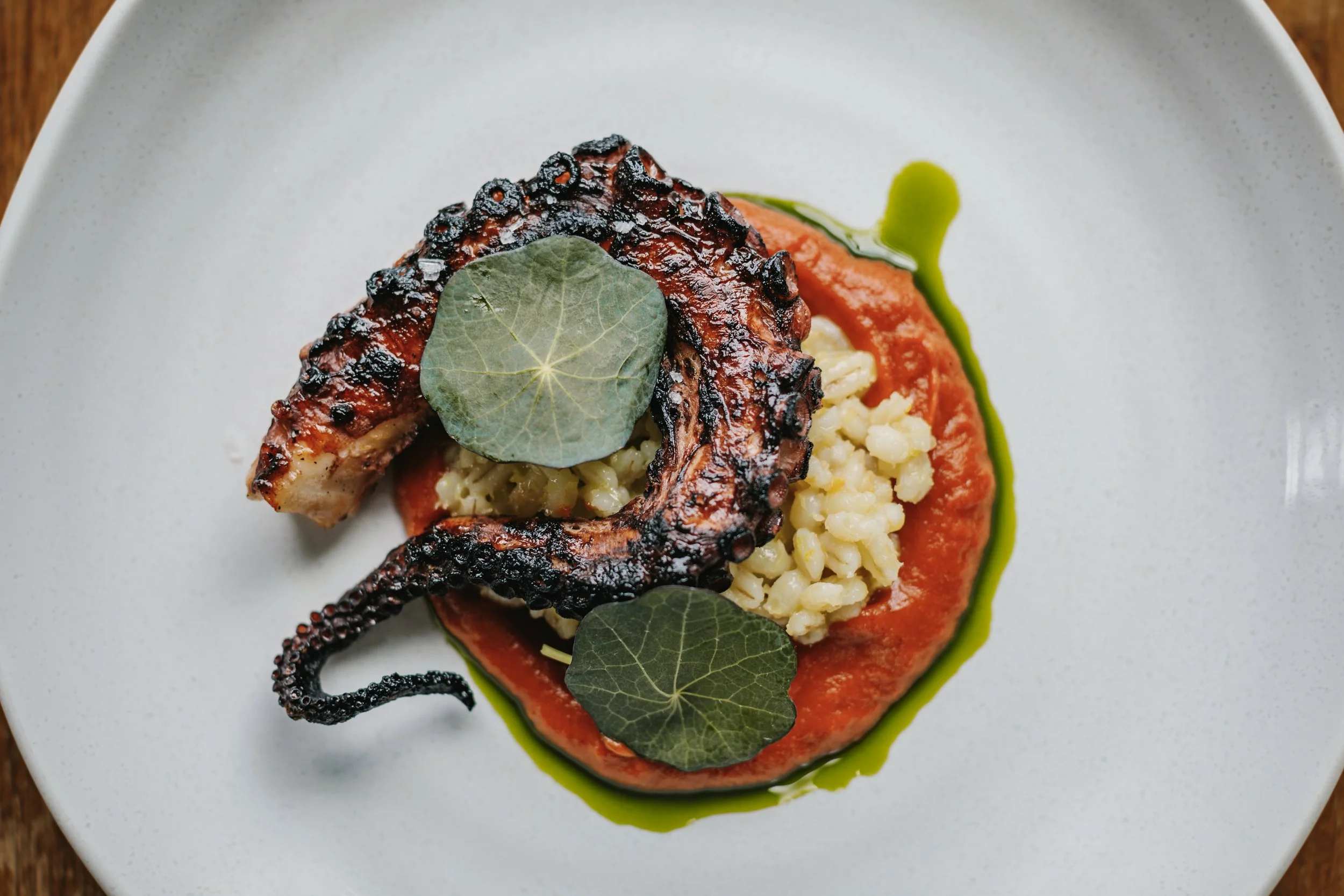 Octopus, burnt tomato, citrus barley, herb oil