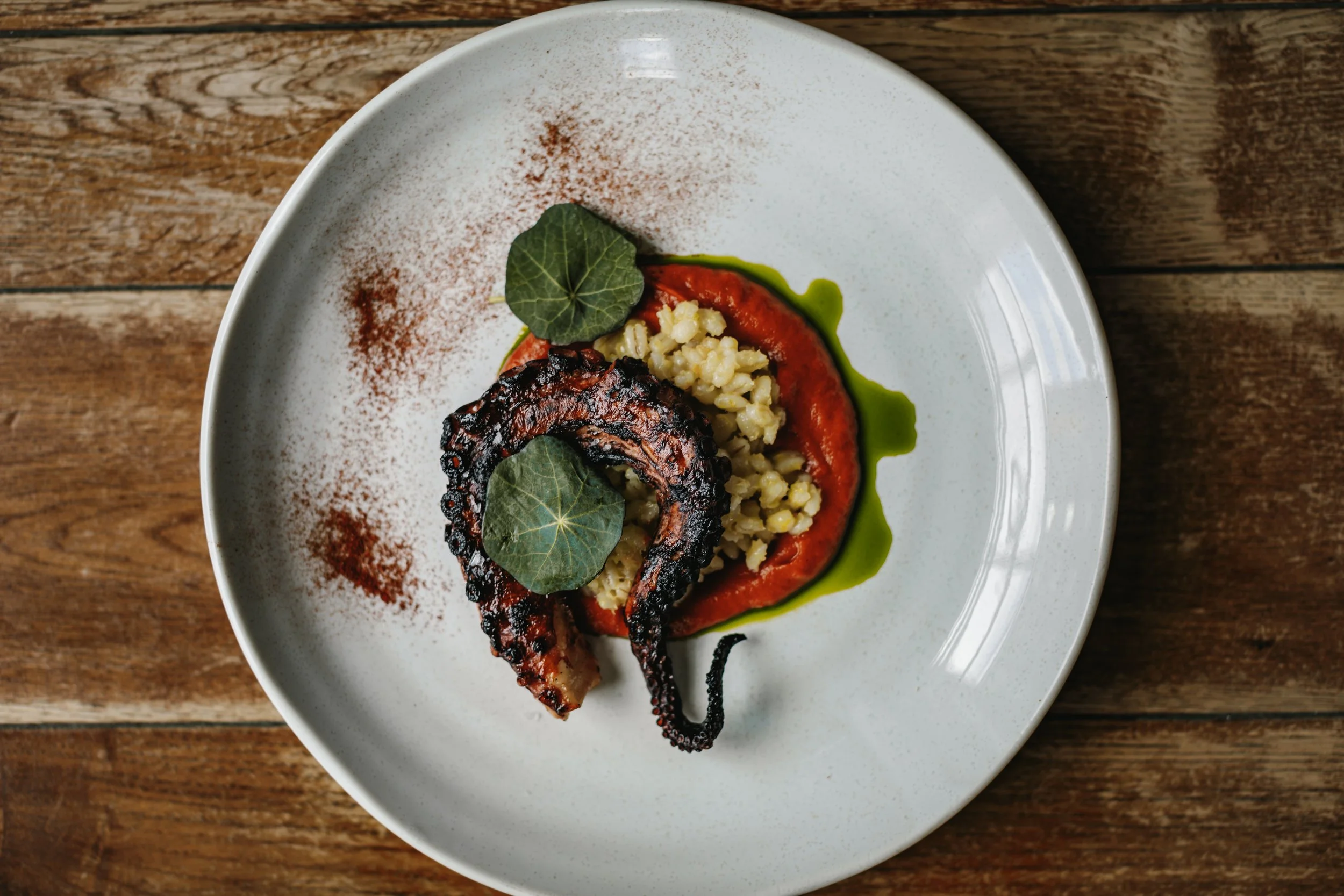 octopus with burnt tomato sauce, citrus barley and coriander oil