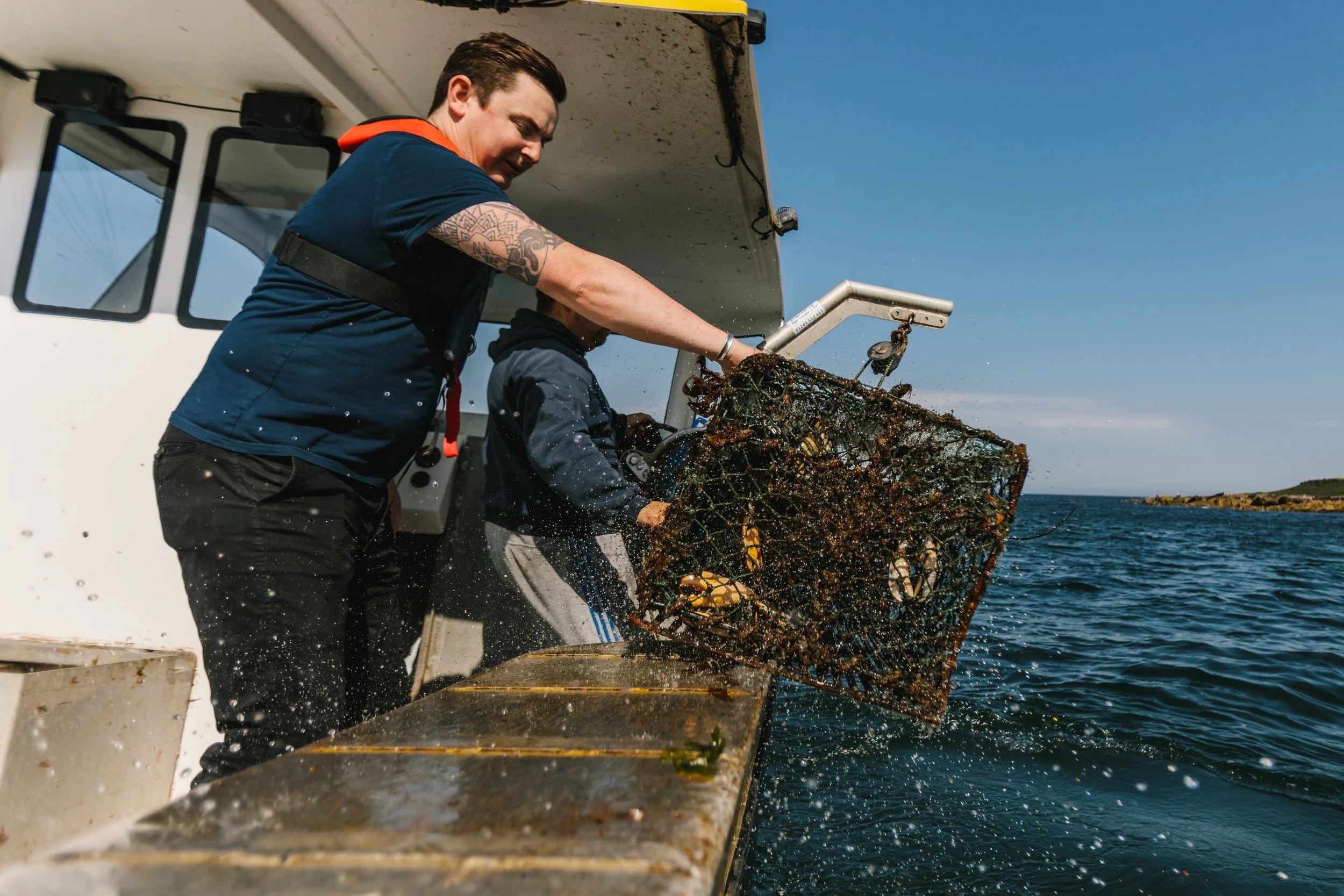 Chef Dean Banks fishing for lobster in St. Andrews Bay