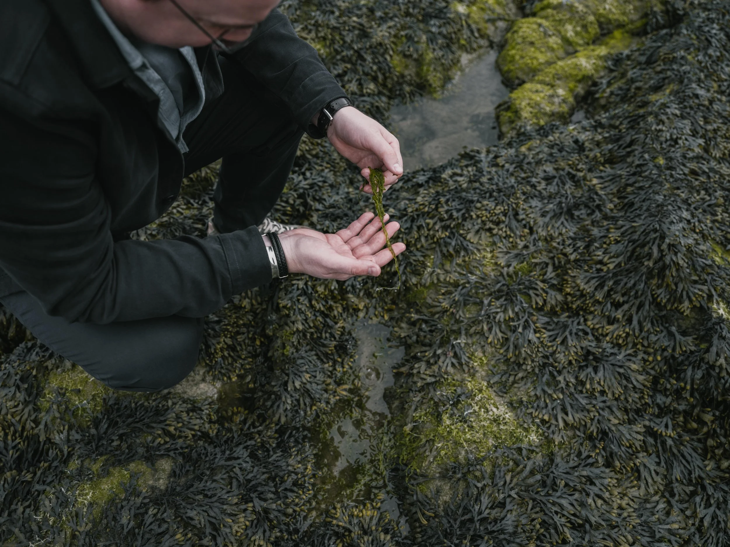 Why We Only Use Scottish Ingredients