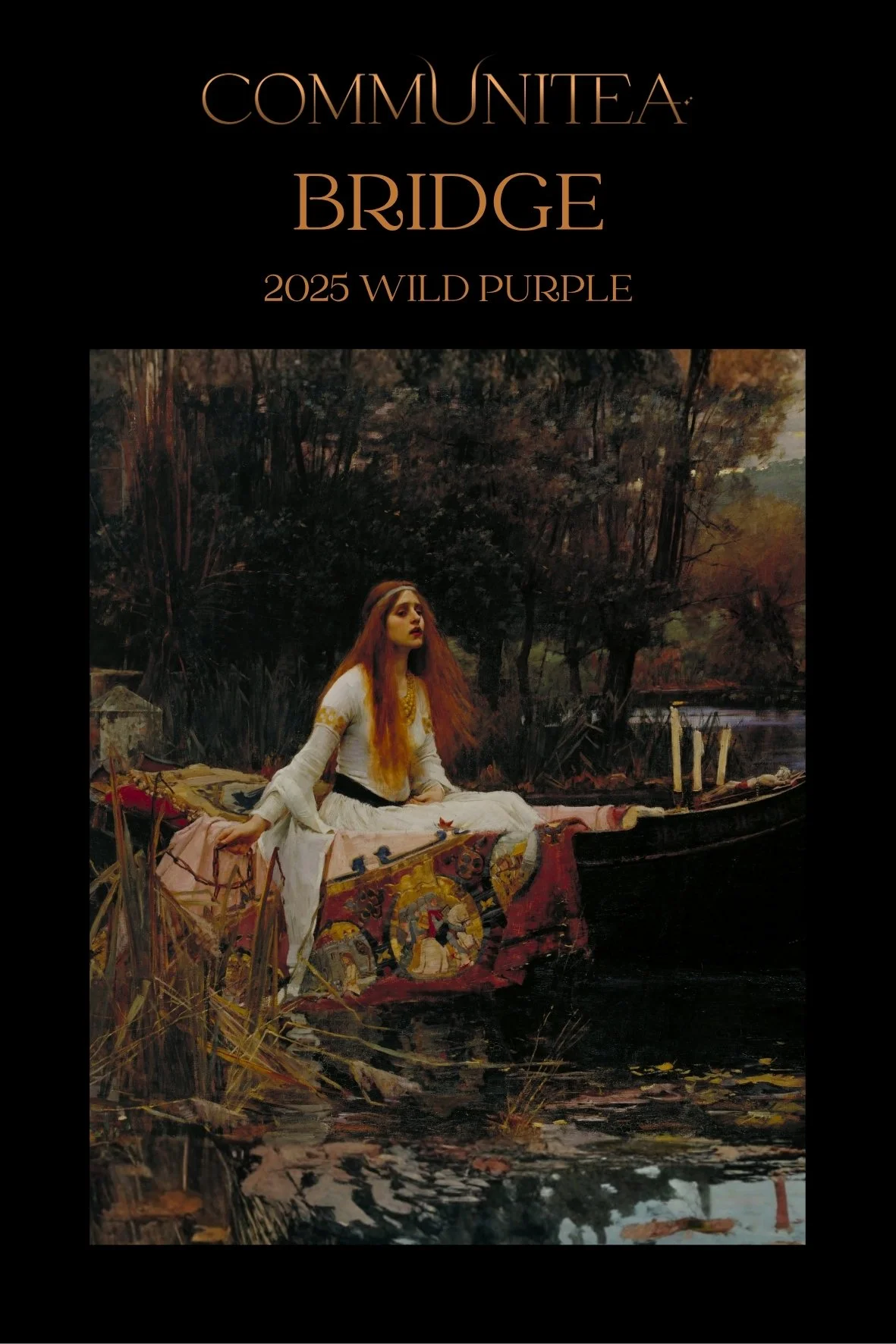 Bridge - Wild Purple (Dian Hong)
