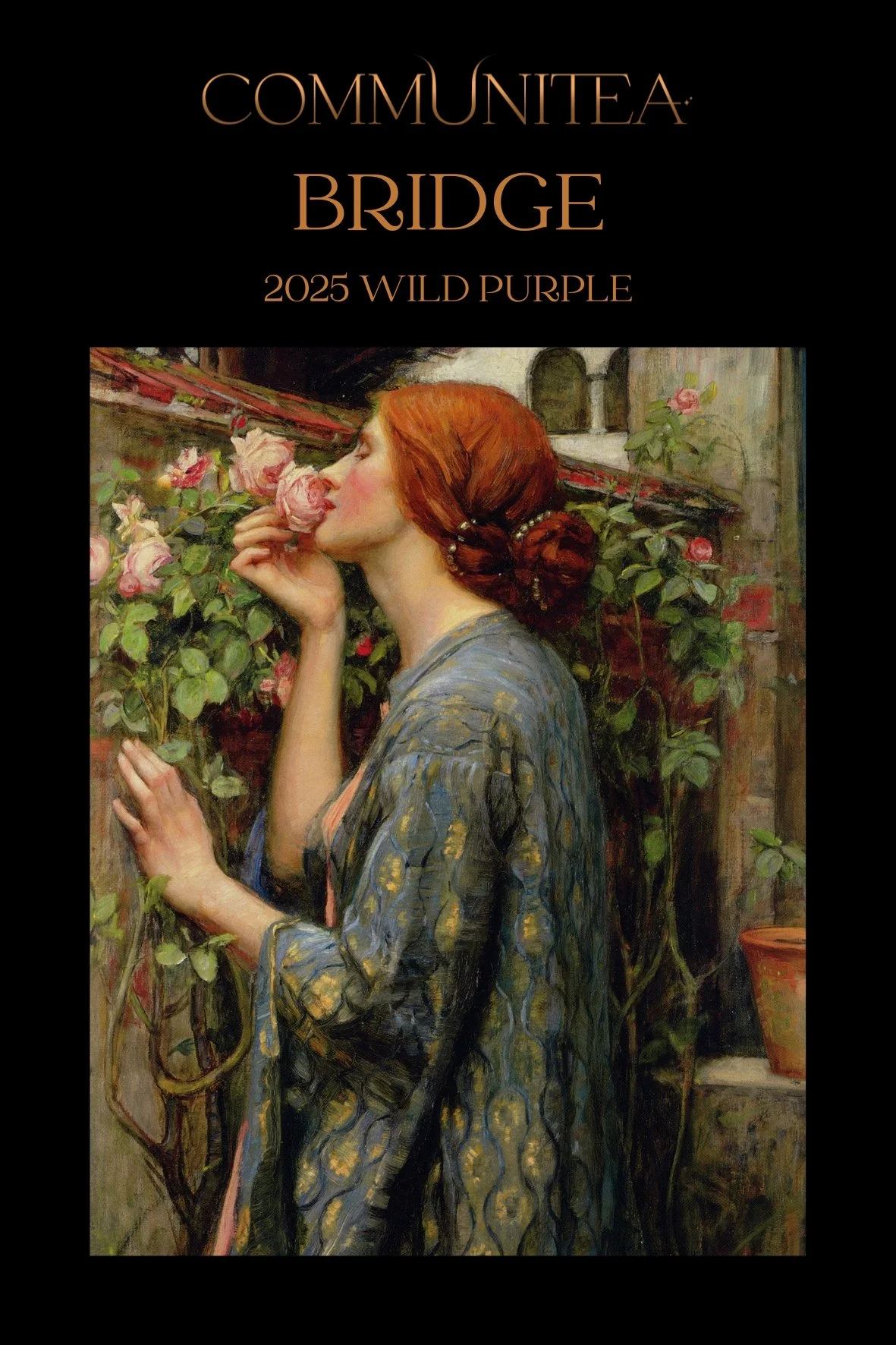 Bridge - Wild Purple (Dian Hong)