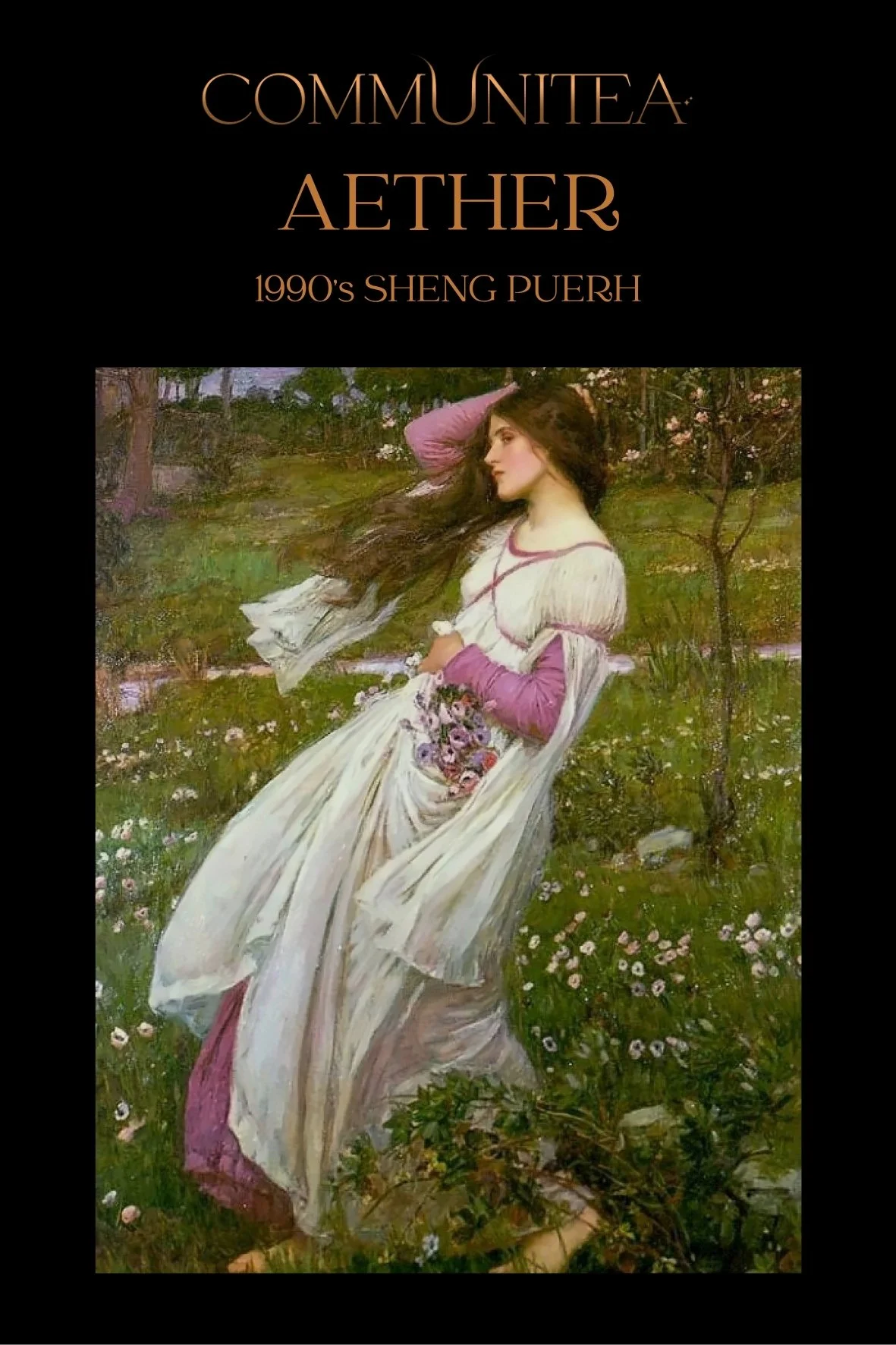Aether - 1990's Sheng Puerh