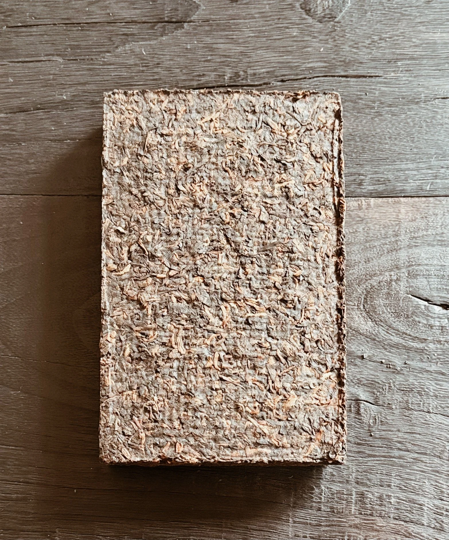 FullSizeRender_VSCO.JPG