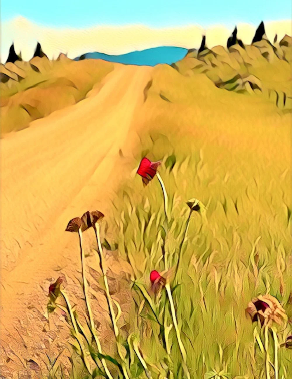 What is Love artwork SINGLE LARGE.jpg