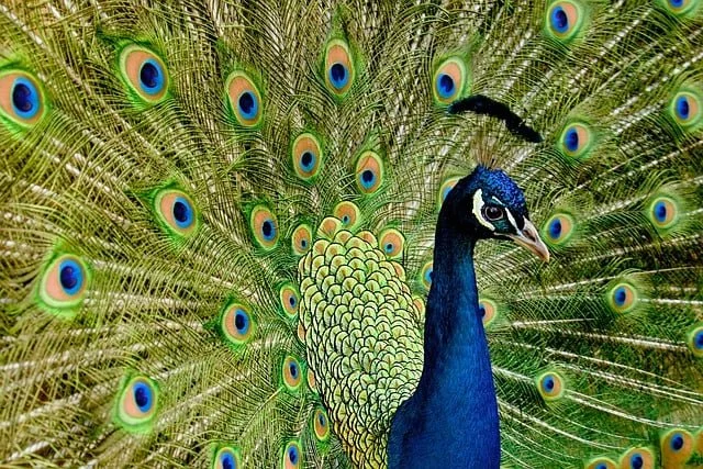 Does Your Business Stand Out…