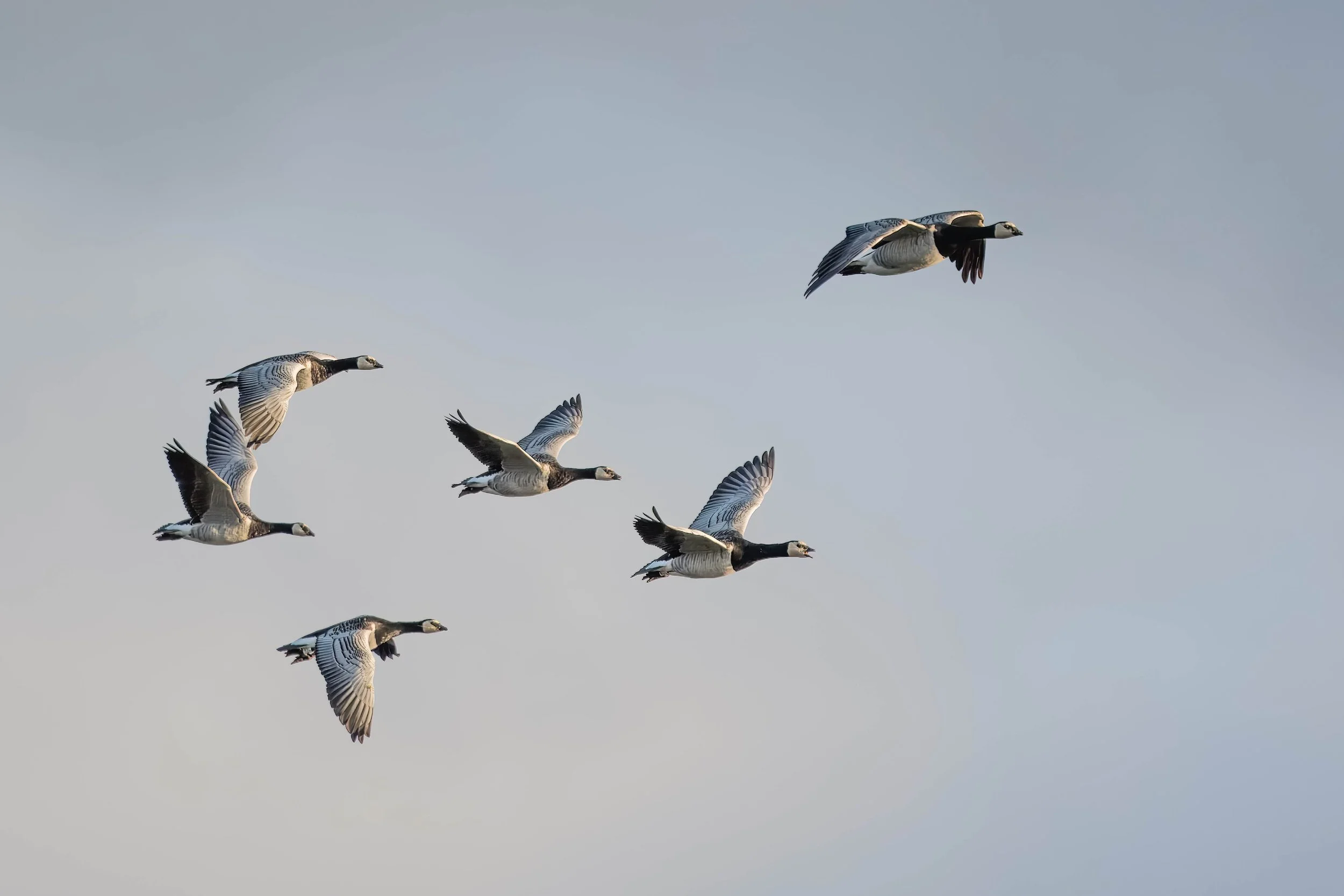 Why Even Strong Leaders Need Support