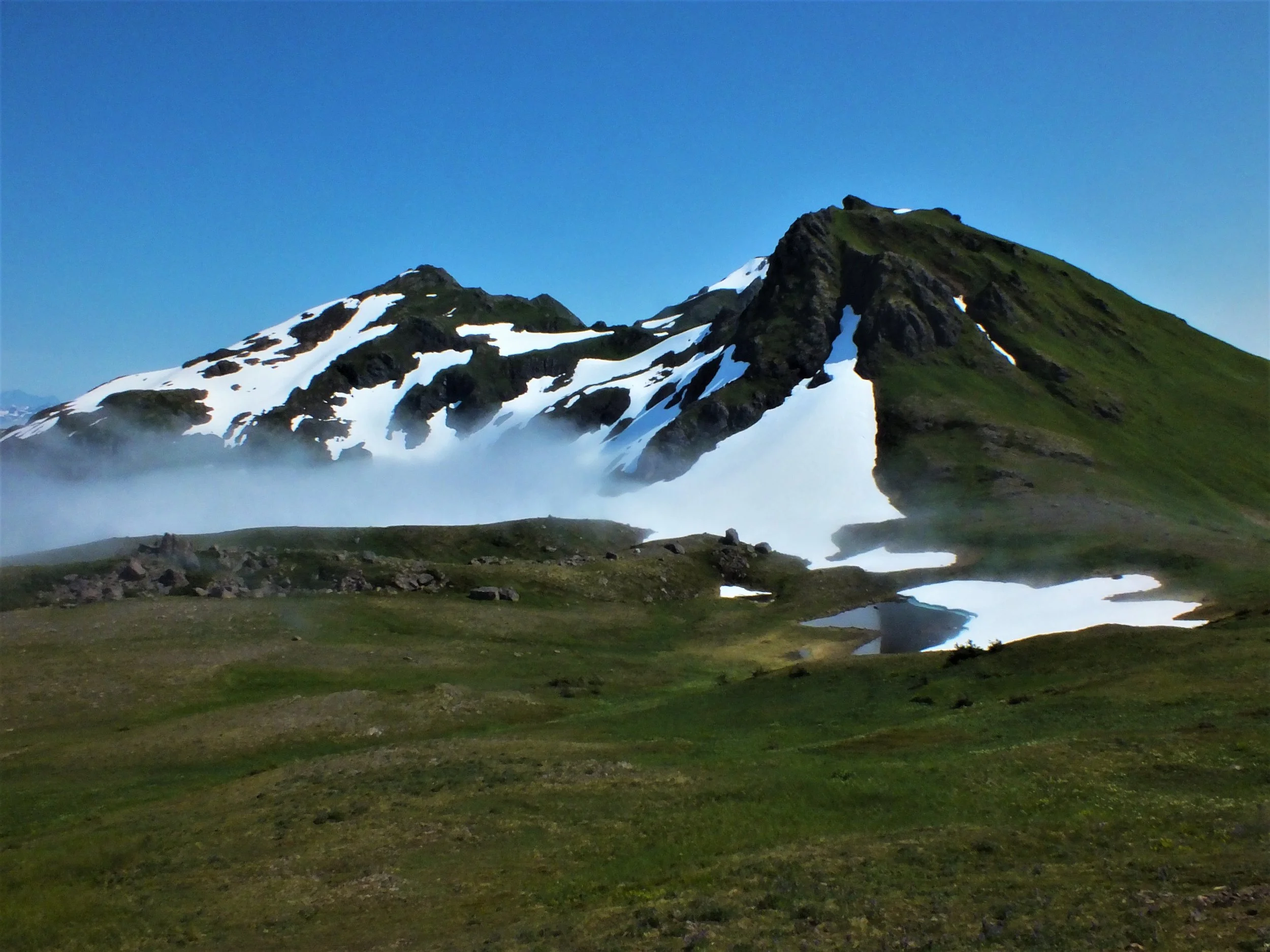 heneysaddle6.jpg