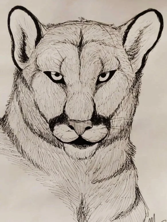 here kitty kitty