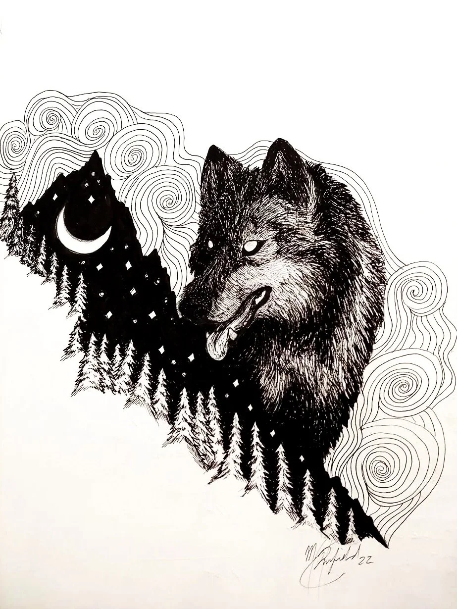 VISIONS OF THE NORTH