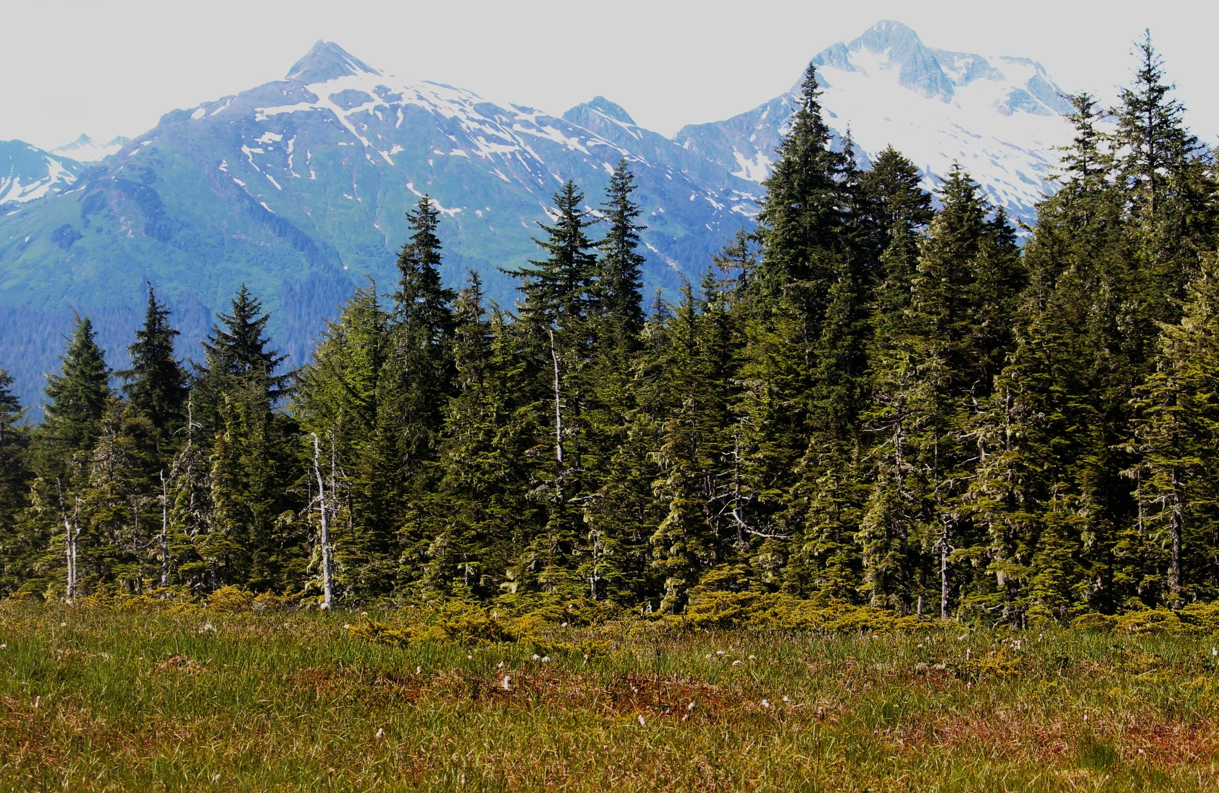juneau.JPG