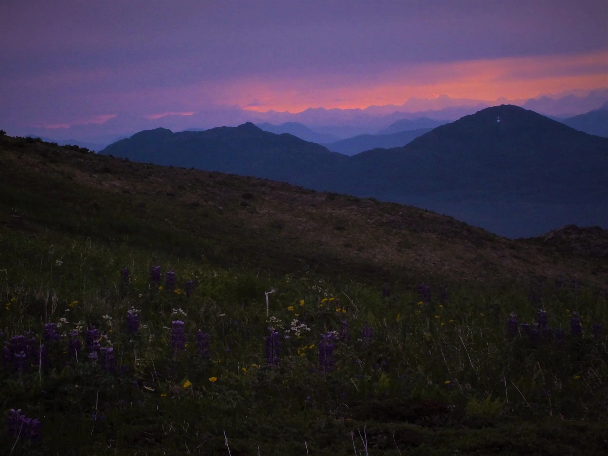 sunset3.jpg
