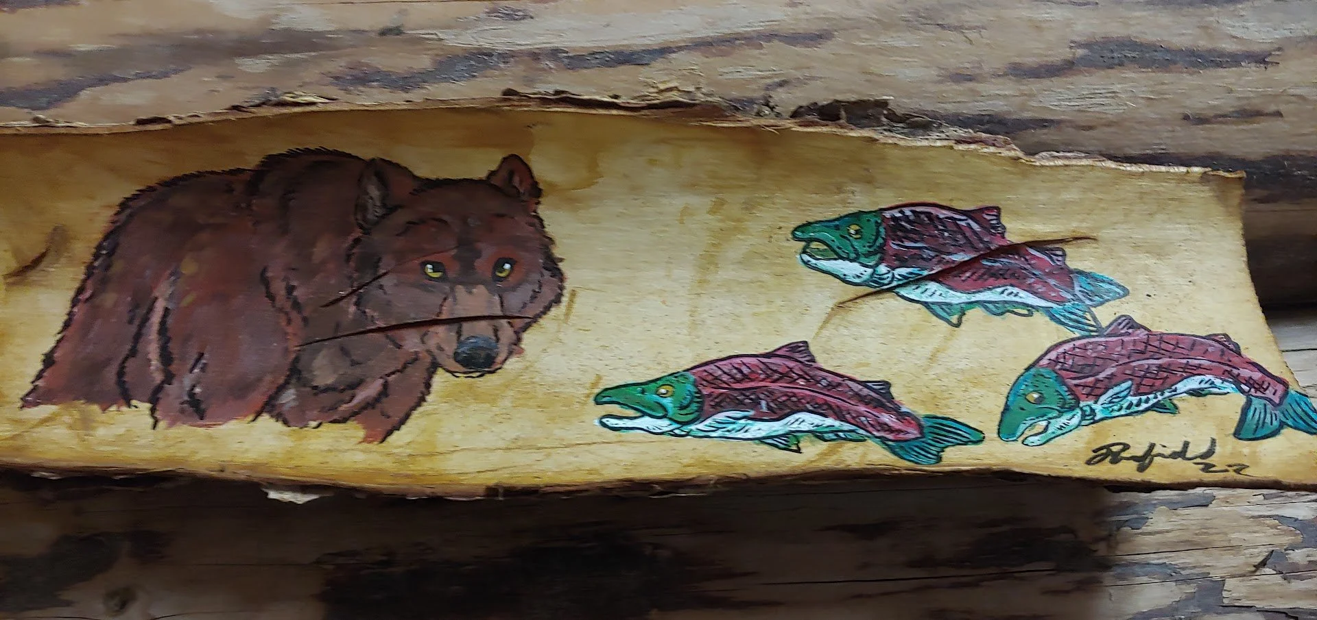 visions of salmon