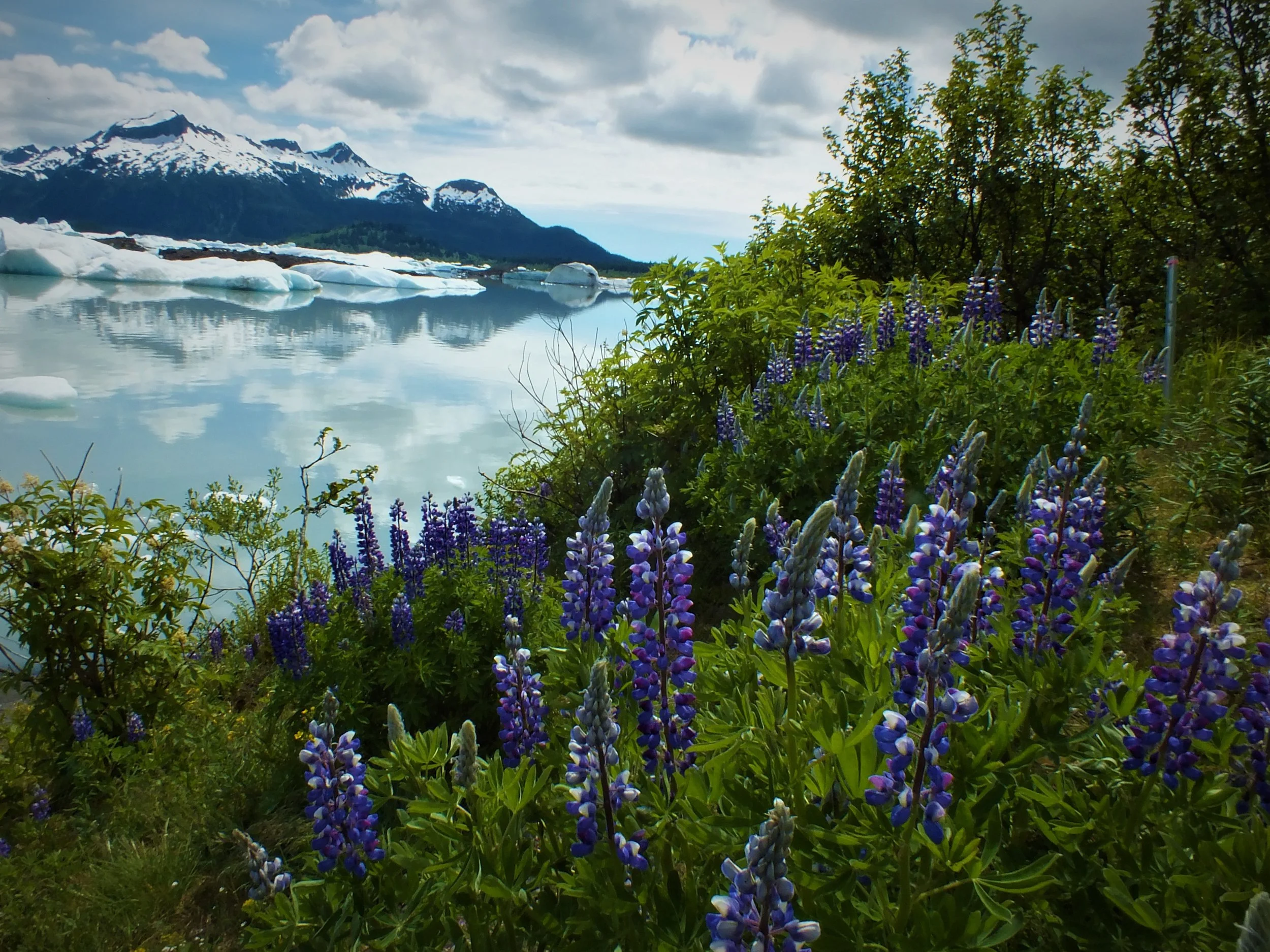 sheridanlake4.jpg