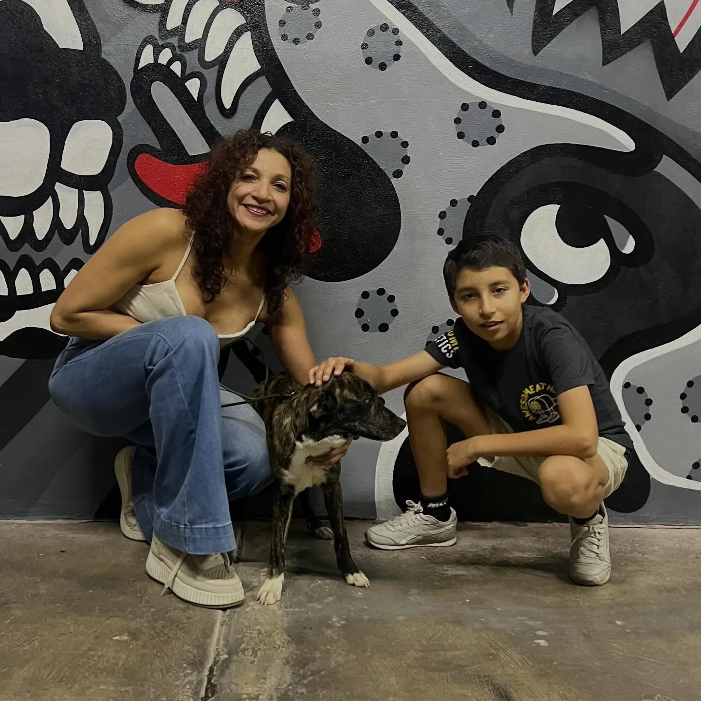 &iexcl;El Matty ya tiene casa!

Gracias, B&aacute;rbara y C&eacute;sar, por incluirlo en su manada y por estar dispuestos a seguir trabajando con &eacute;l.
Fue el &uacute;ltimo de una camada de 10 cachorros en darse en adopci&oacute;n; eso le dio ti