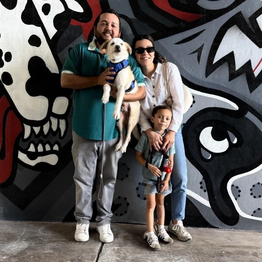 Hoy fue la primera lecci&oacute;n de Max

El es la primera colaboraci&oacute;n que hacemos con @huellitas_._mxli_gabbgabb en nuestro programa de adopci&oacute;n + educaci&oacute;n 

Gracias @alexia.vq  y @alandagninor  por incluir a  Max en su manada