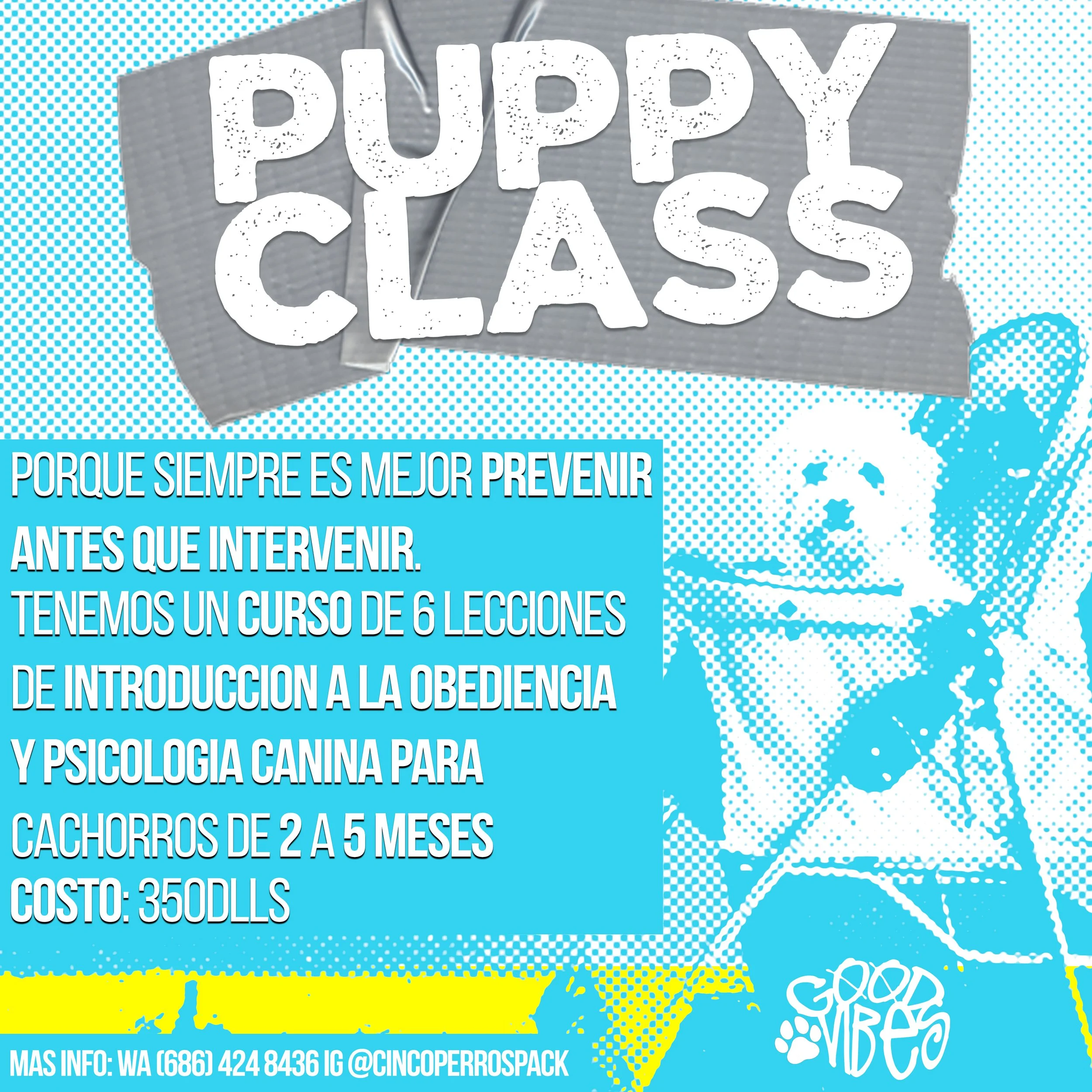 curso cachorros IG.jpg