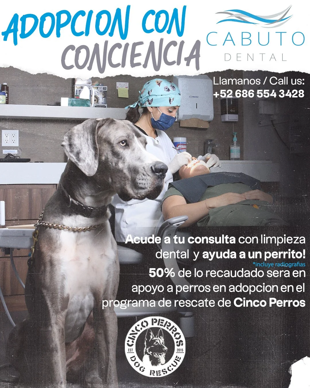 FLYER padme dentista cabuto.jpg