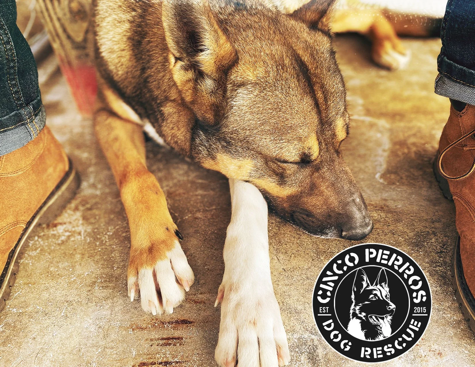 flyer evaluacion frente.jpg