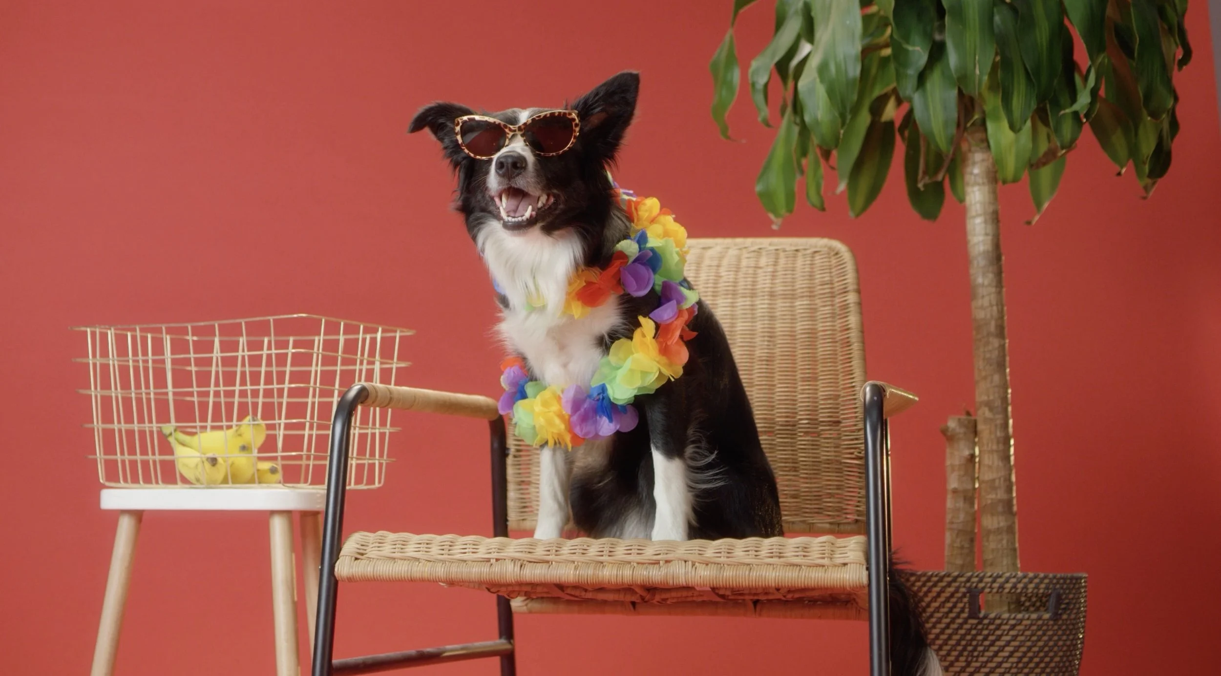 Image 4-3-26 at 2.02 AM.jpeg