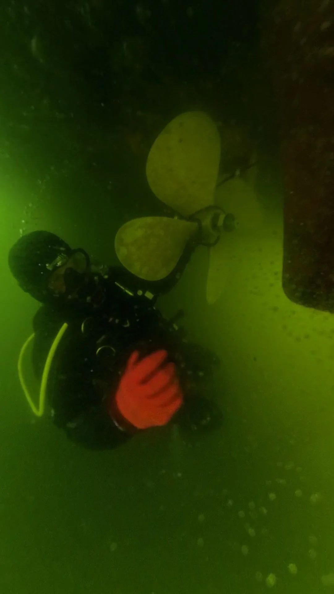 An underwater scene with a scuba diver wearing a black wetsuit and orange glove, exploring a greenish, murky water environment with a large, rounded, yellowish object attached to a surface.