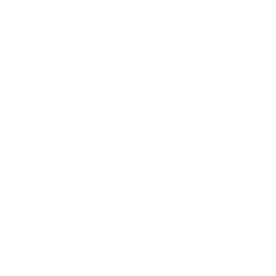 levis.png