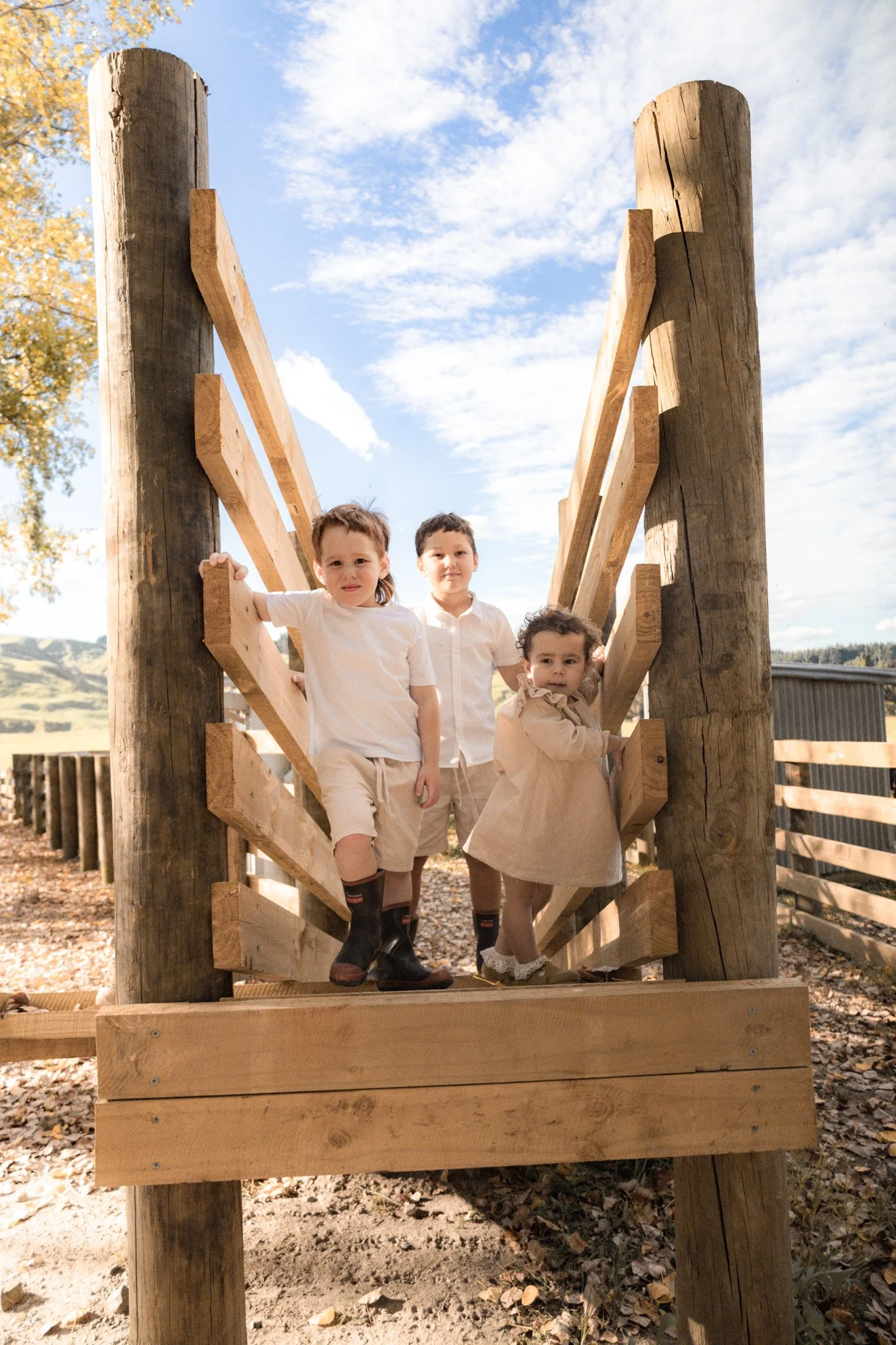 Three children standing on a wooden playground structure with a sky and some trees in the background.