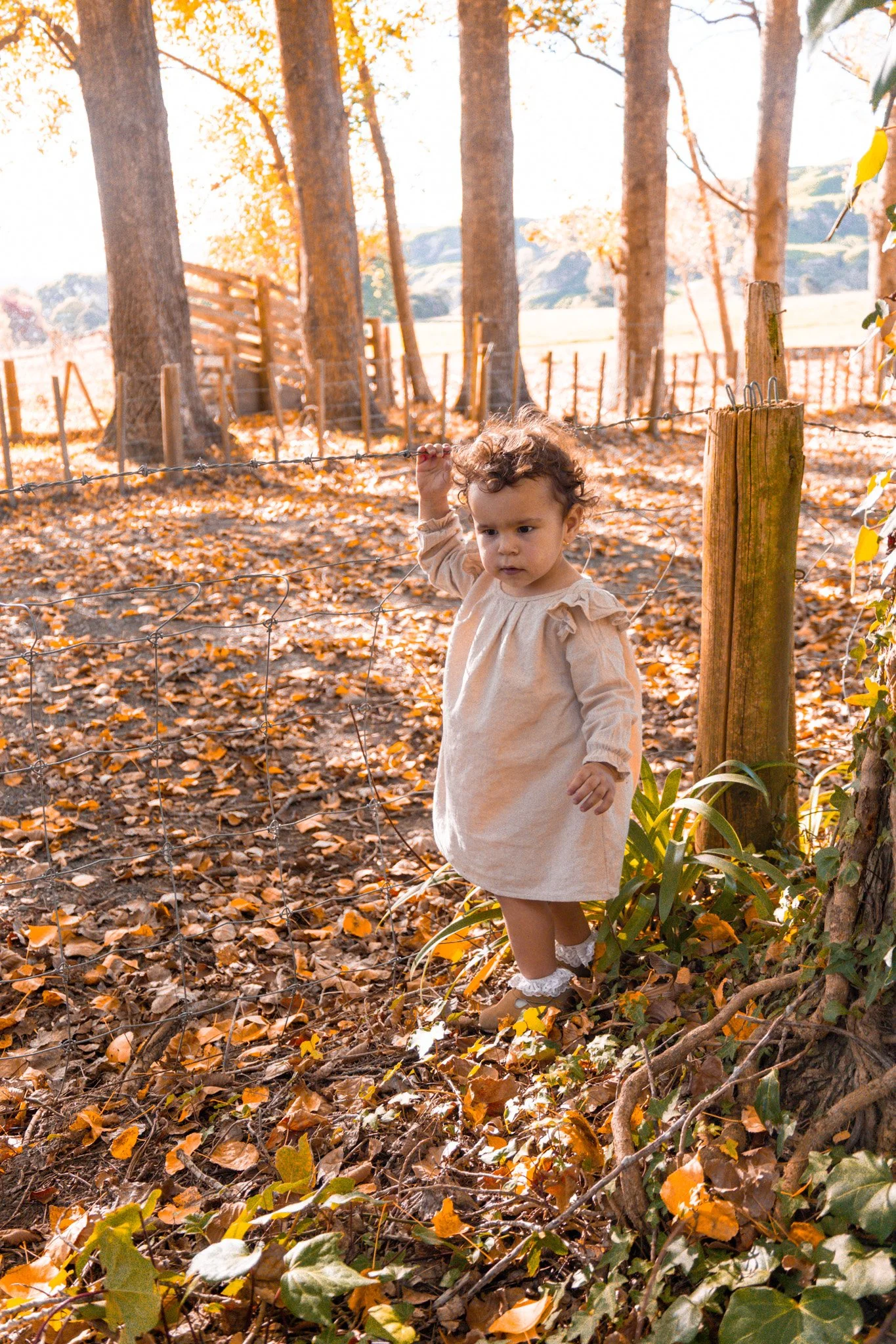A young girl standing outdoors in an autumn landscape with fallen leaves, trees, and a wooden fence in the background, holding onto a wire fence.