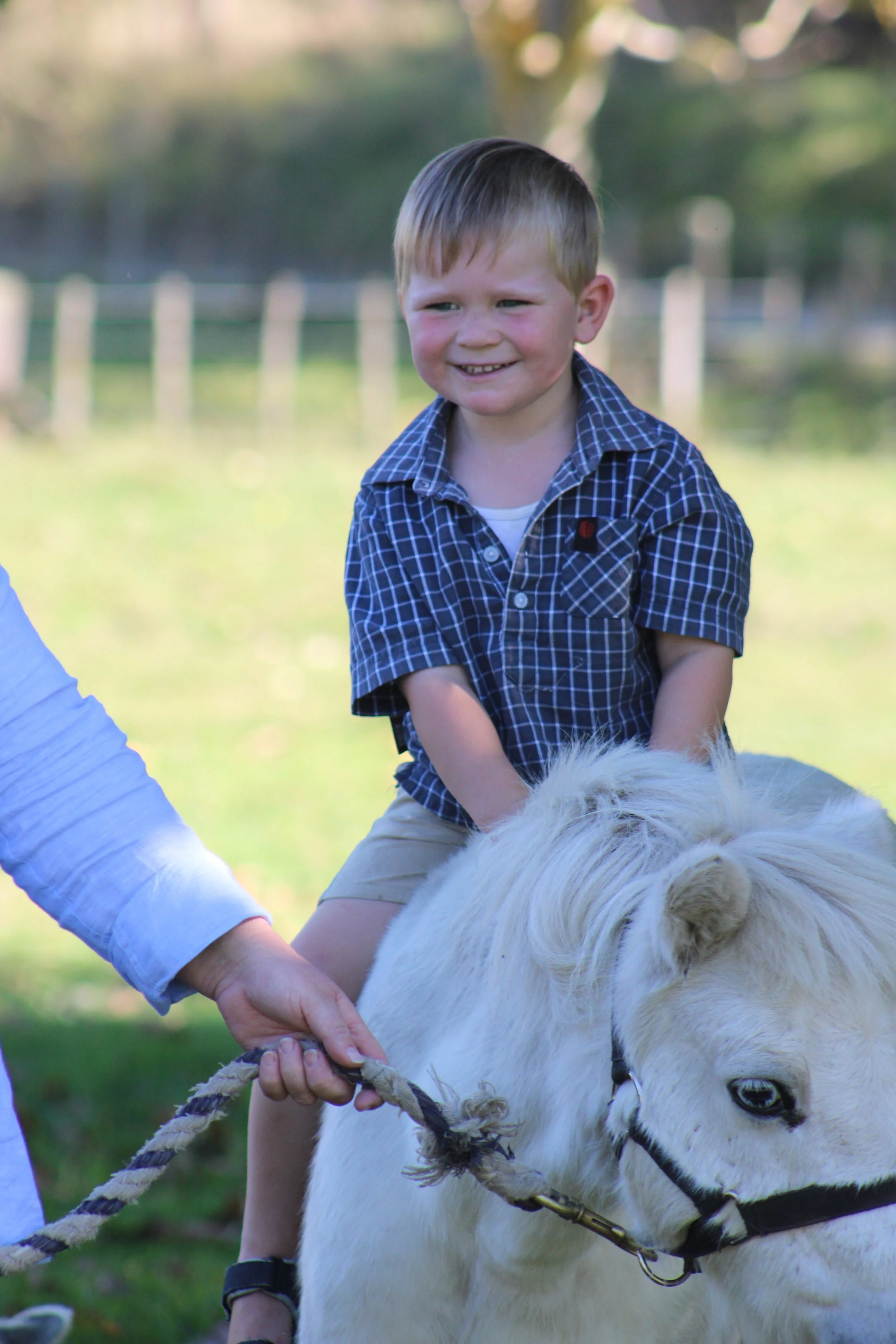 A young boy with a checkered shirt riding a small white horse, holding the reins, outdoors with trees in the background.
