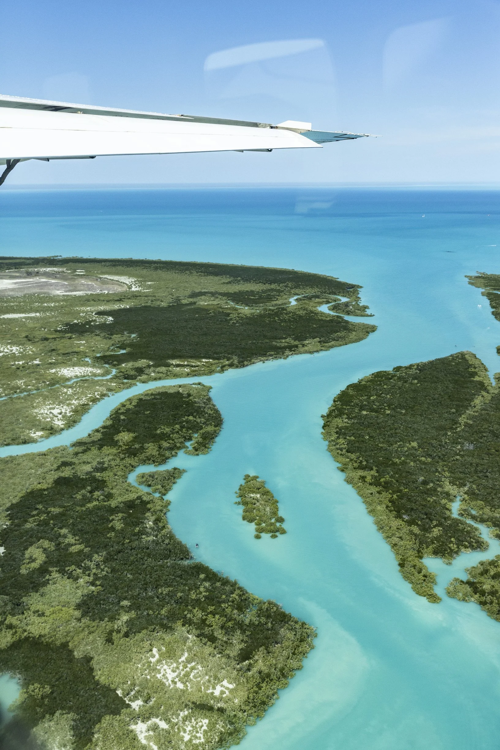 A view from above of a winding river cutting through lush green wetlands with patches of trees, seen from an airplane flying overhead.