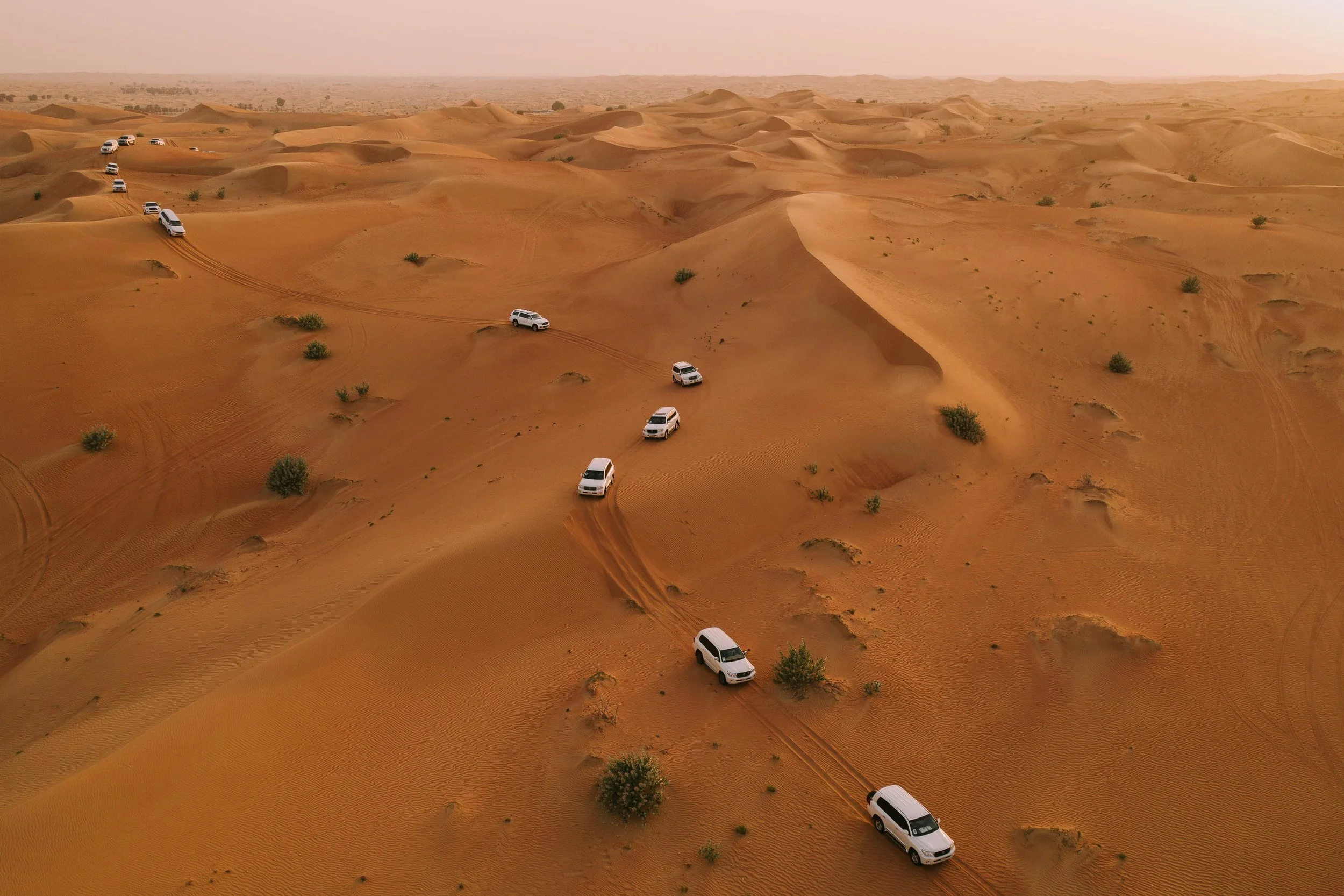 A convoy of white SUVs driving across sandy desert dunes with sparse vegetation.