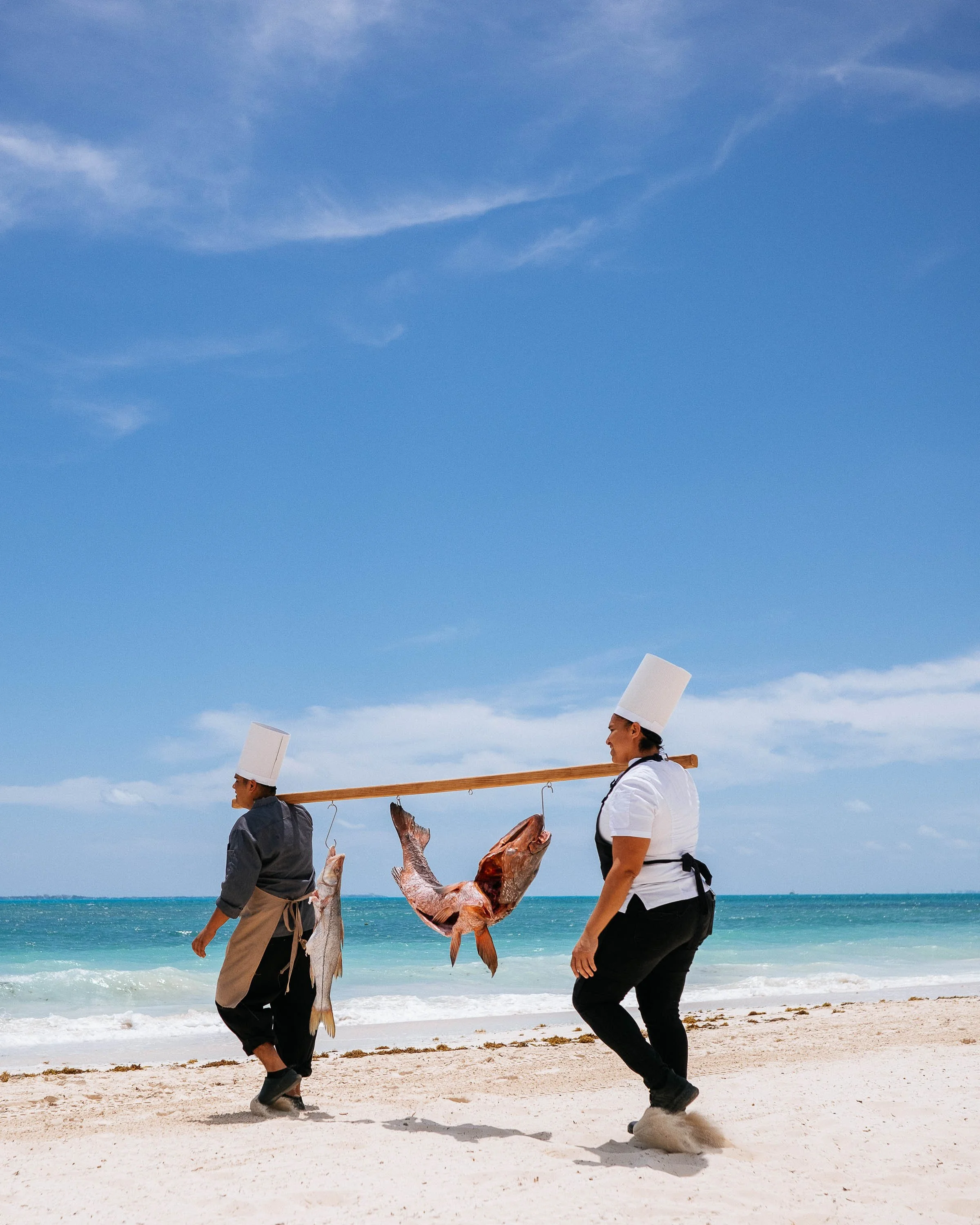 Two chefs walking on a beach, carrying a wooden pole with fish hanging from it.