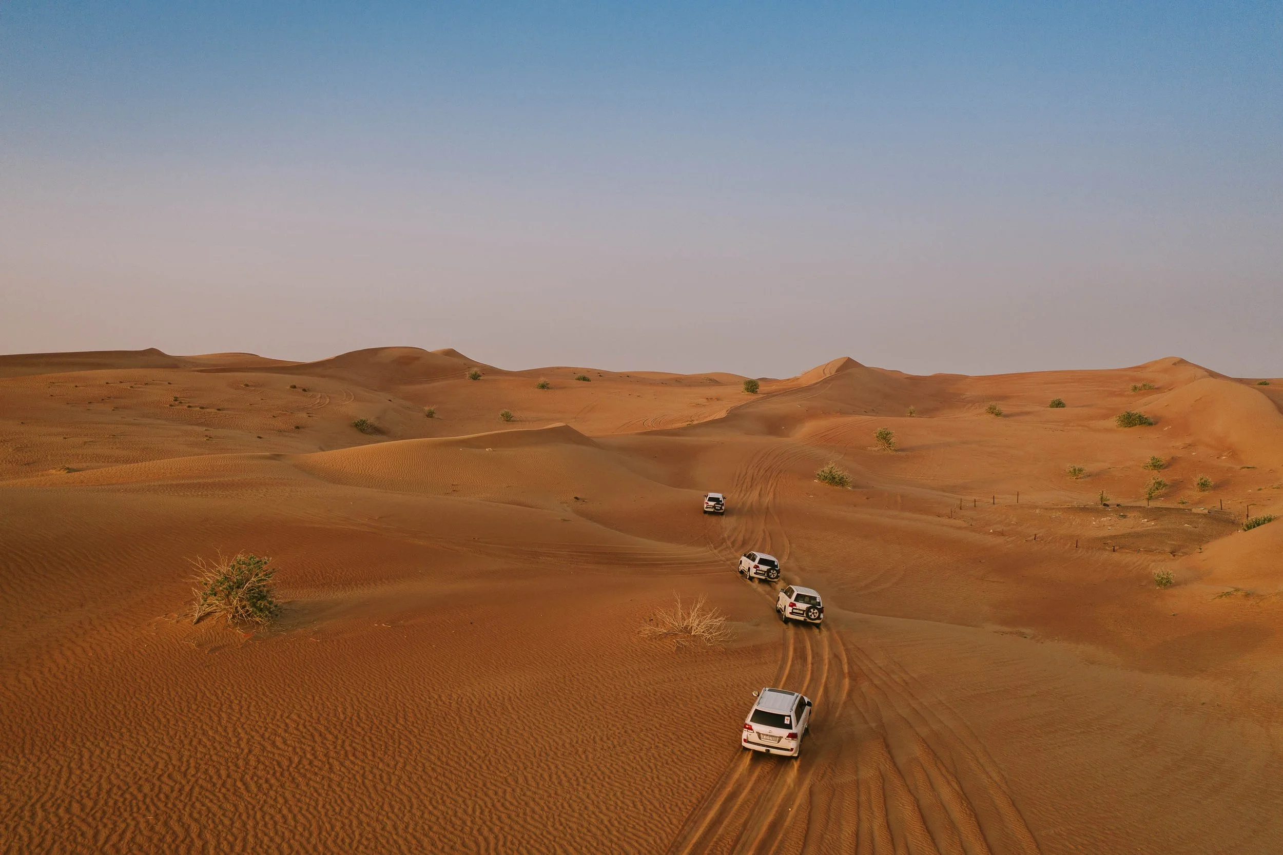 Four white SUVs driving in a line across sandy desert dunes with sparse small green bushes under a clear blue sky.