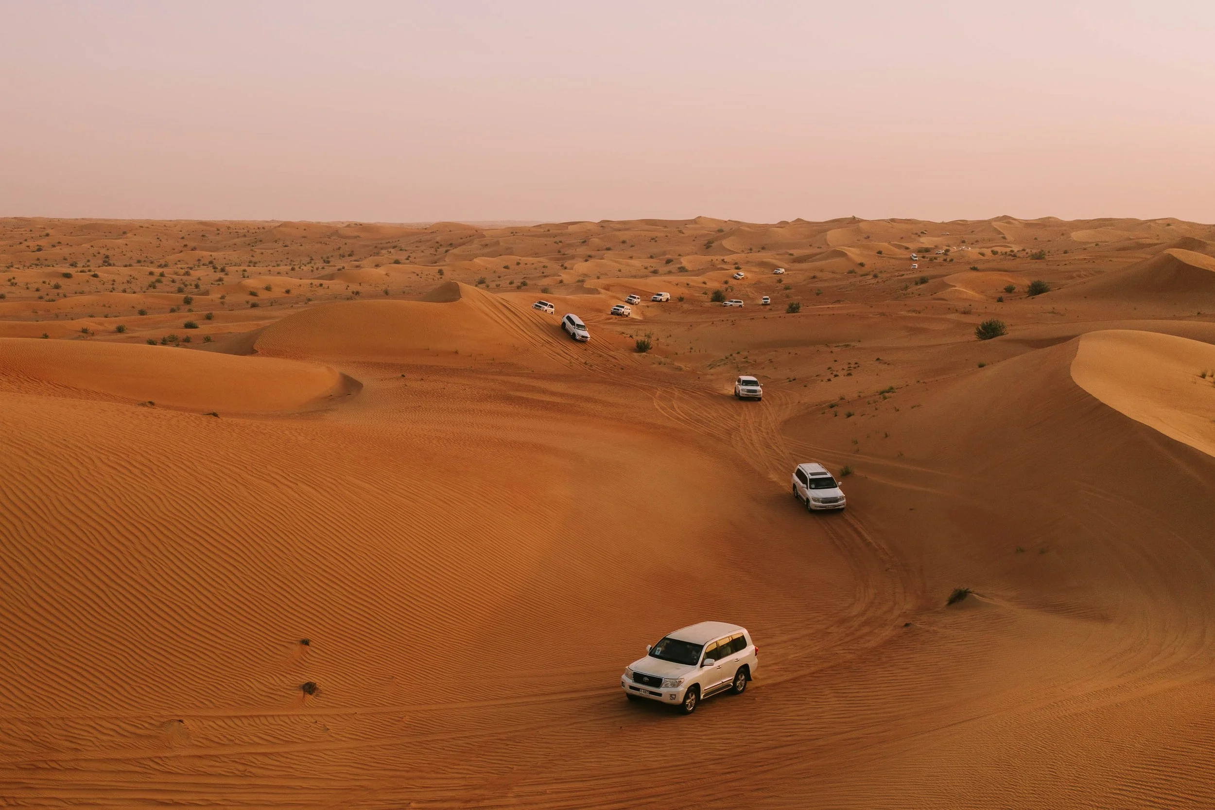 Multiple white SUVs driving on orange desert sand dunes with small bushes, under a pinkish sky.