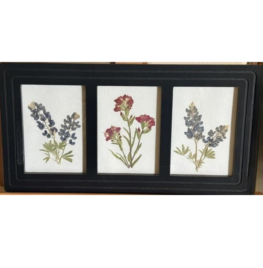 Texas Wildflower Frame