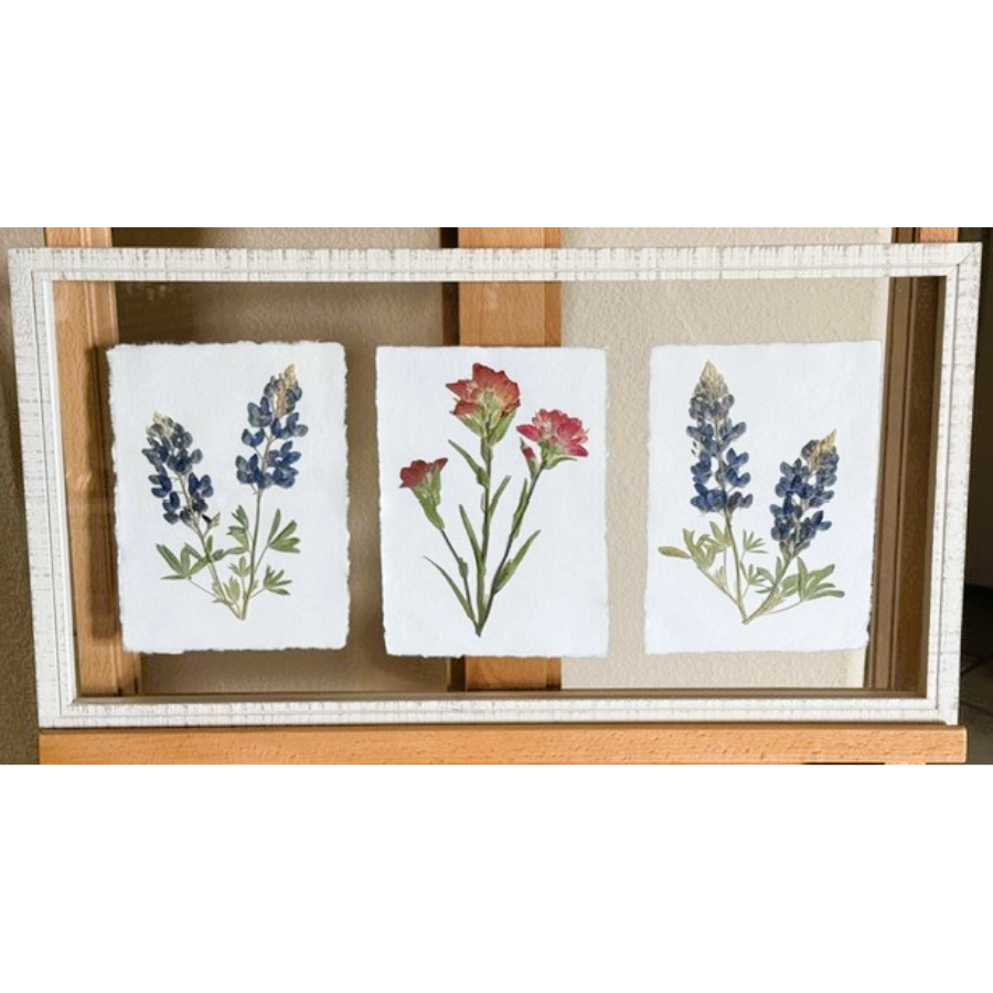 Texas Wildflower Frame