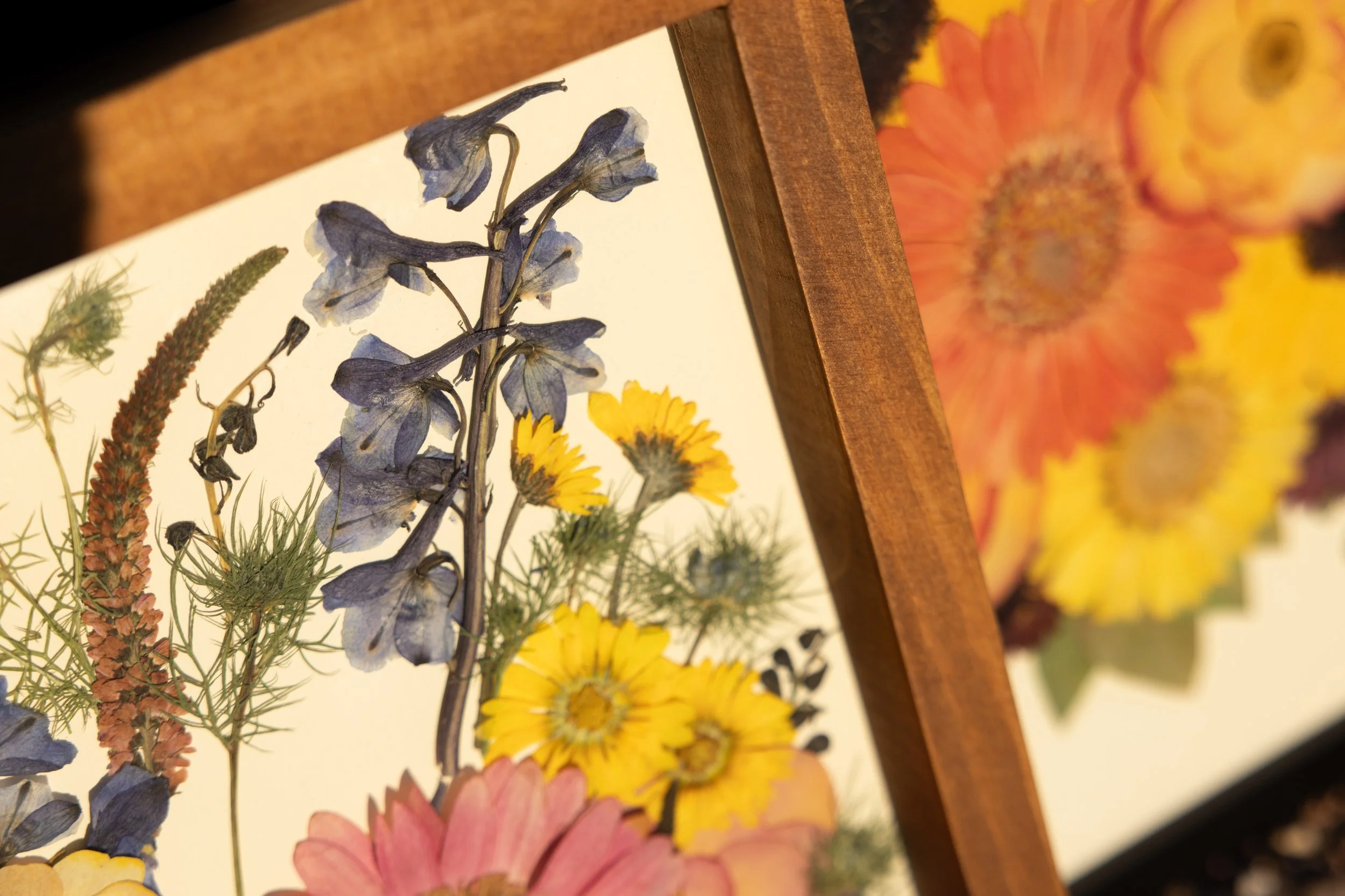 Pressed and dried flowers, including blue delphiniums, yellow daisies, and pink gerbera daisies | Floral Preservation | Austin, TX