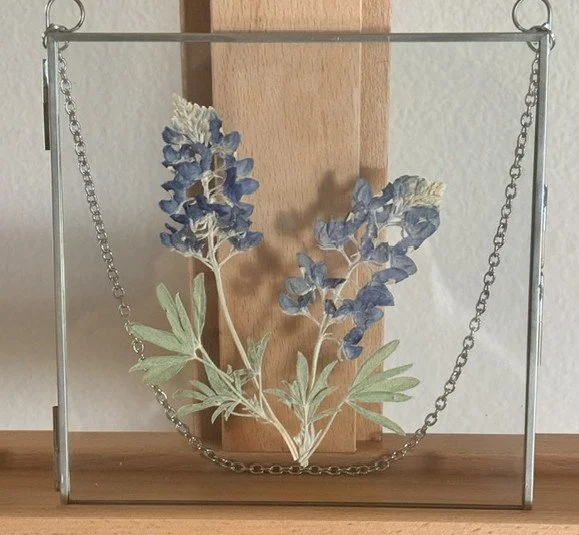 Bluebonnets Hanging Frame