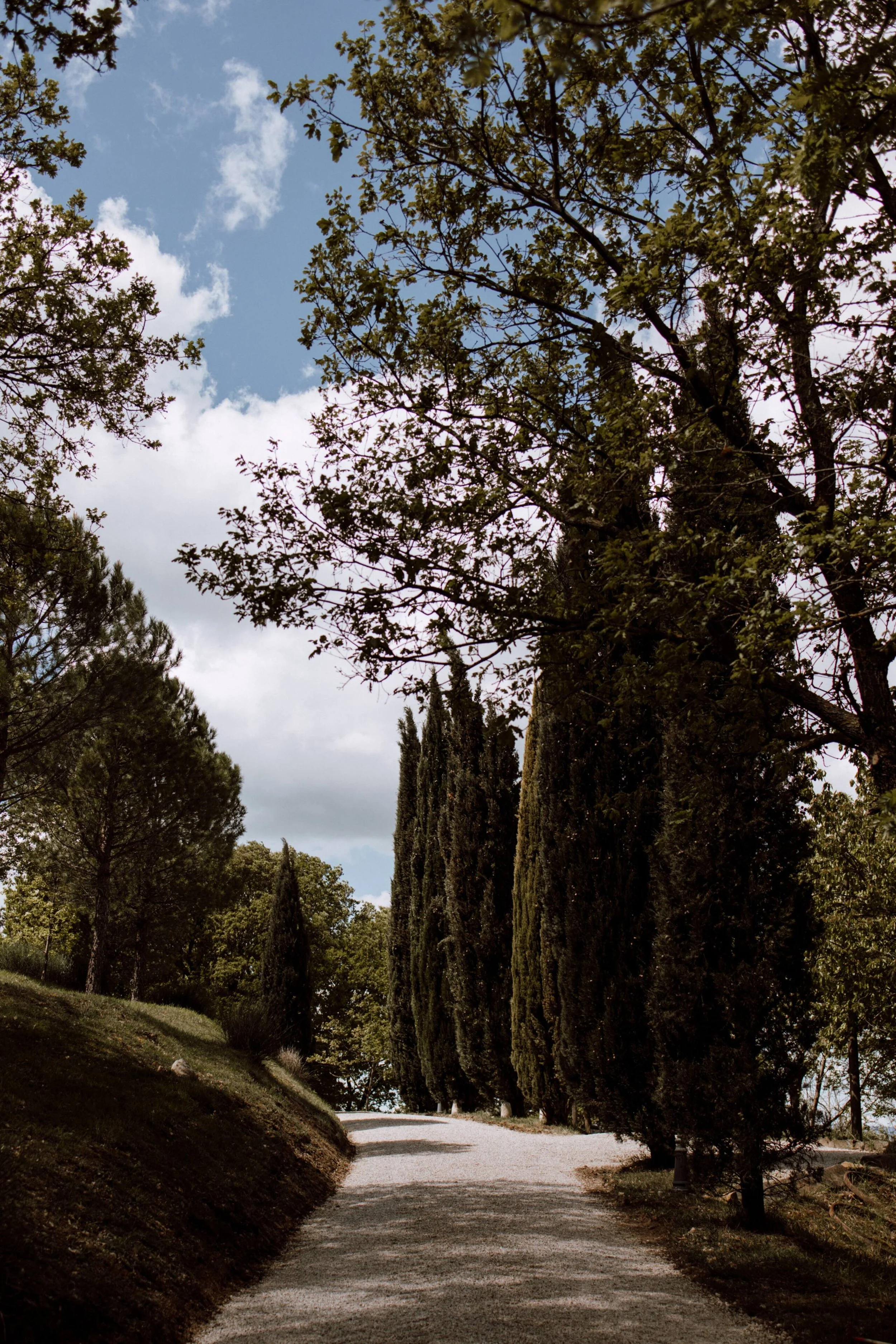 33cf1753-6bc2-4f6d-8008-7f8951c92559.jpeg