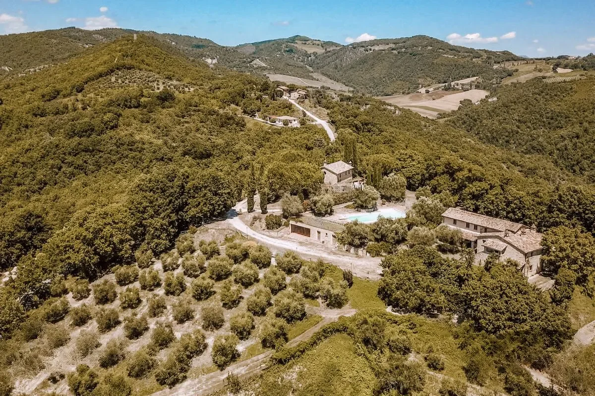 il posto birds eye.webp