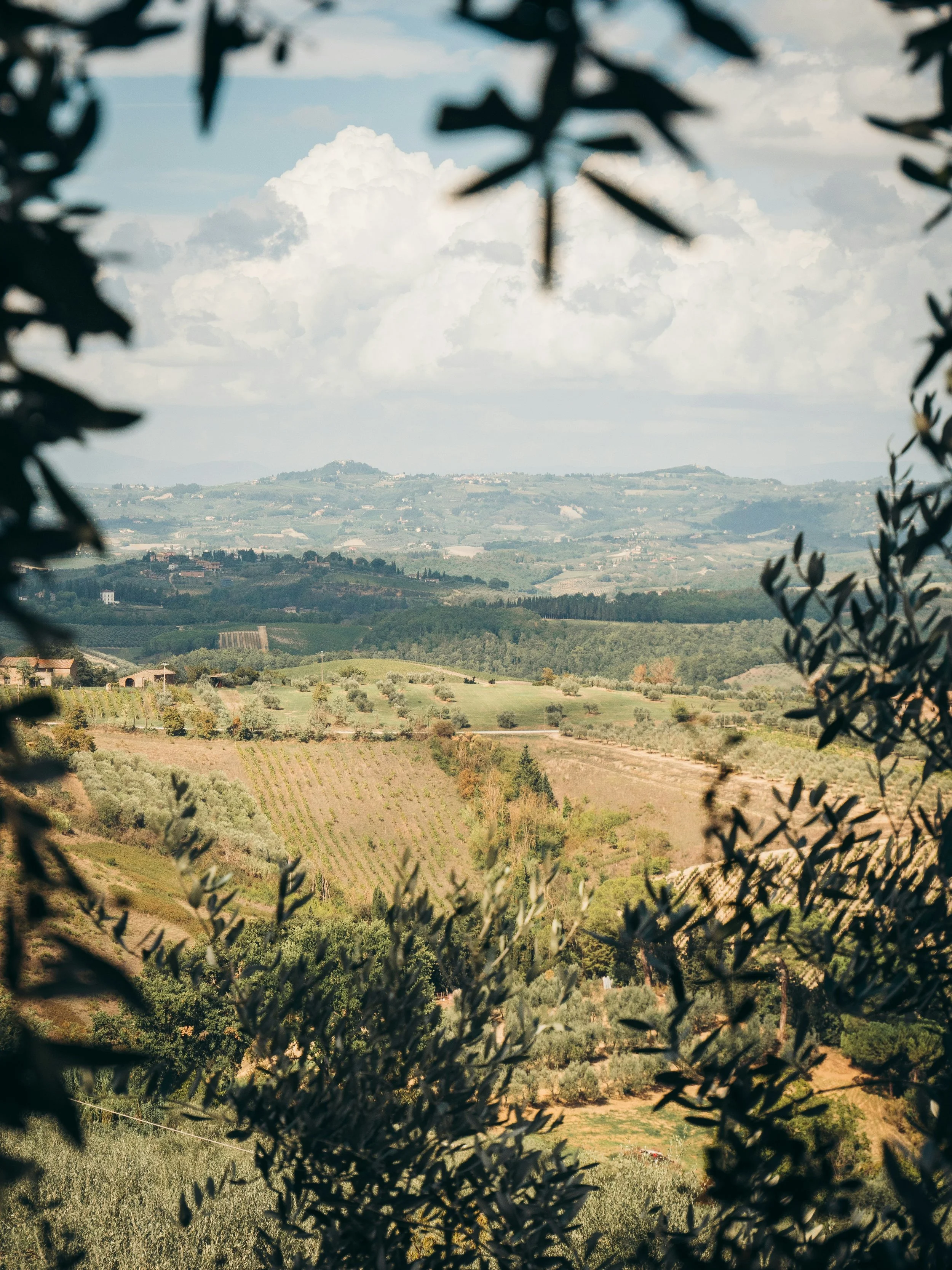 Scenic countryside view at Solenne women's travel retreat destination, Umbria Italy