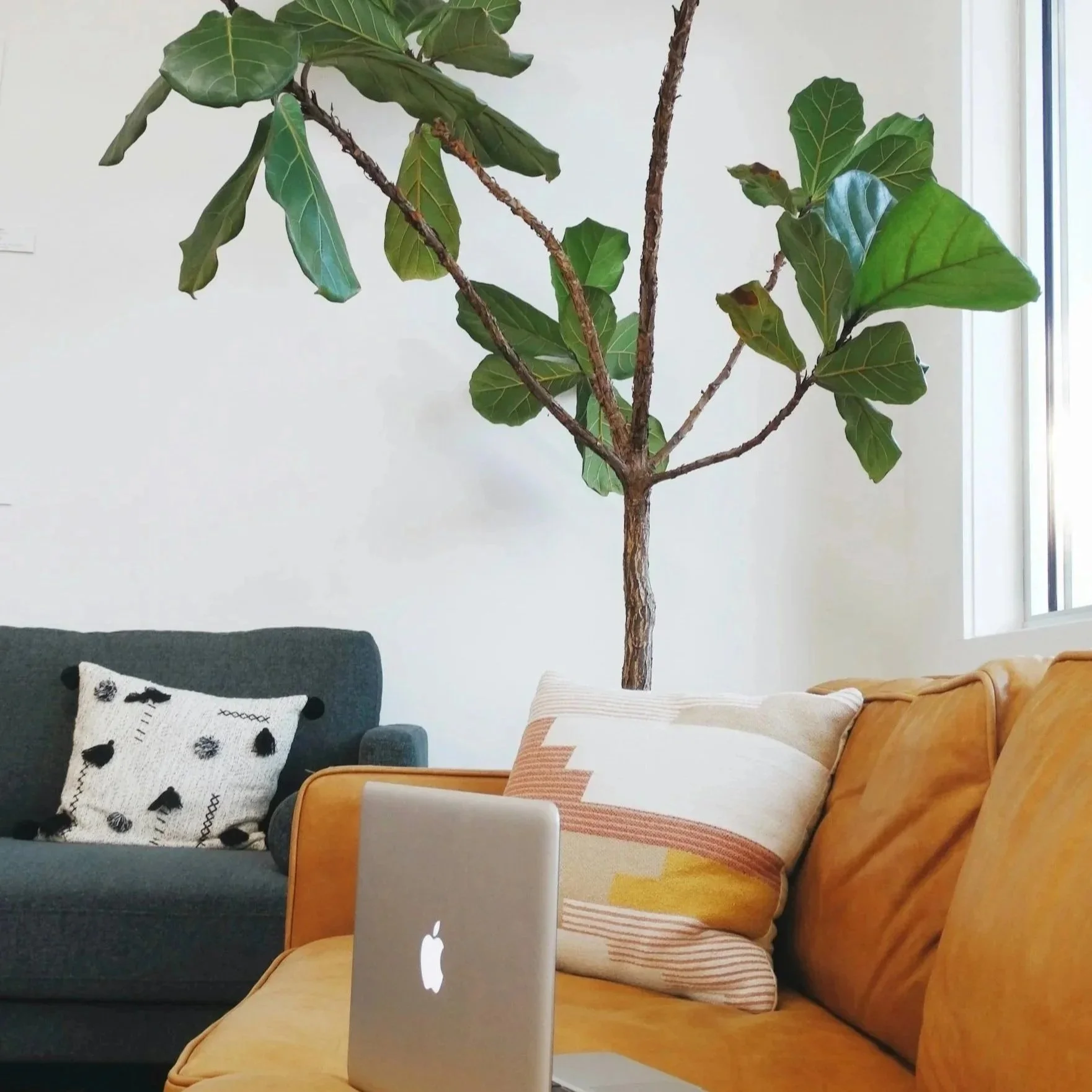 How to Find a Therapist in the DC Area