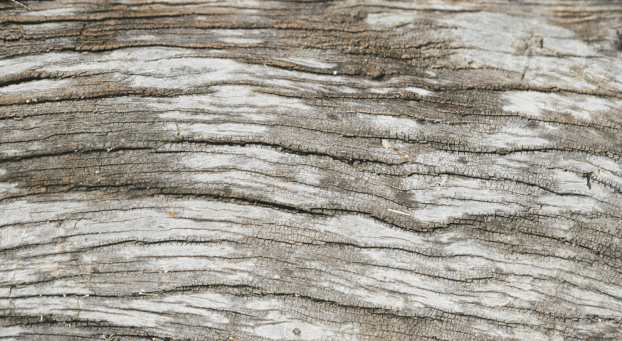 Close-up of weathered, cracked wood with horizontal grain lines.