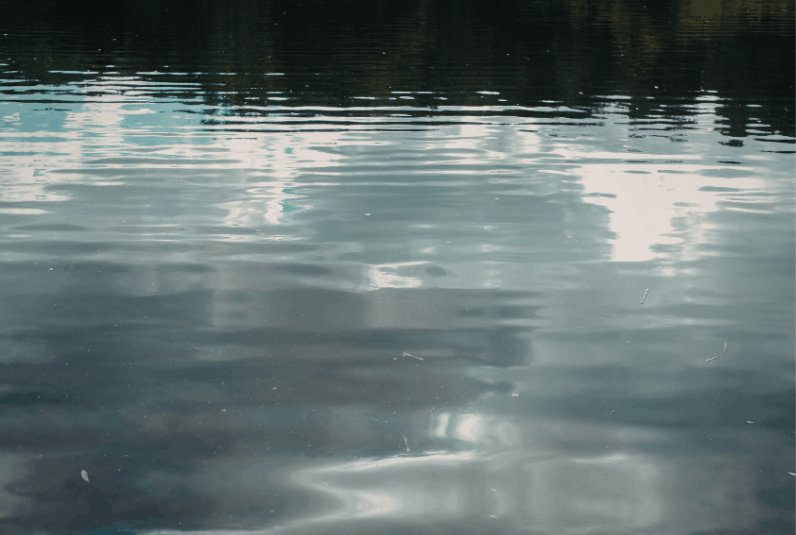 Calm water reflecting sky and trees along the shoreline.