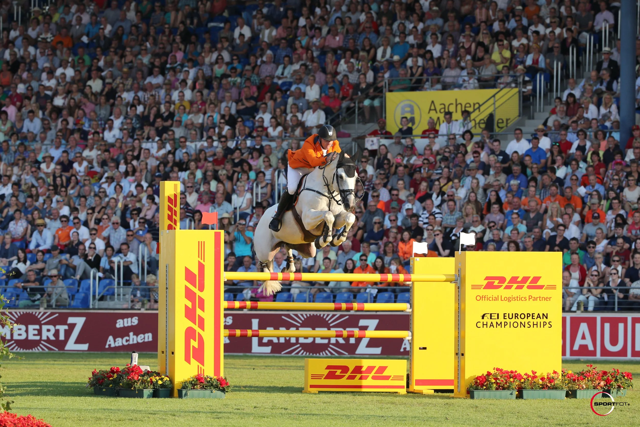Olympian, European and World champion Zirocco Blue, one of the sires in the KVS Sport Horses breeding program.