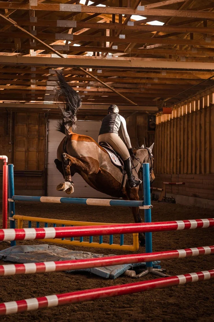 KVS Sport Horses trainer Sara Hudgins training 1.15m jumper Kalipso KVS.
