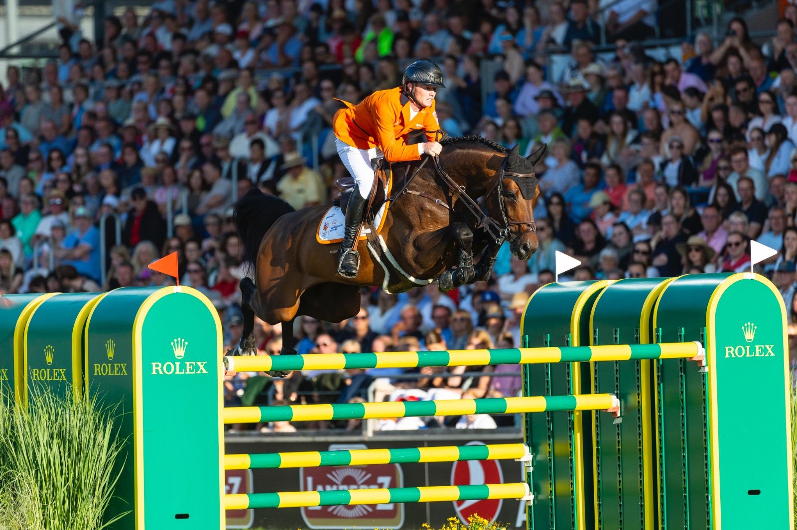 Comthago VDL, 1.60m jumper