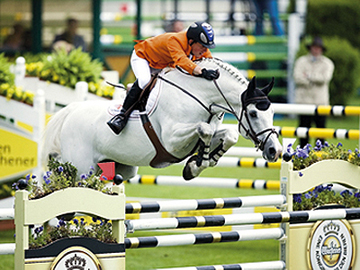 Berlin, legendary jumper and breeding sire. Top ten in WBFSH standings.