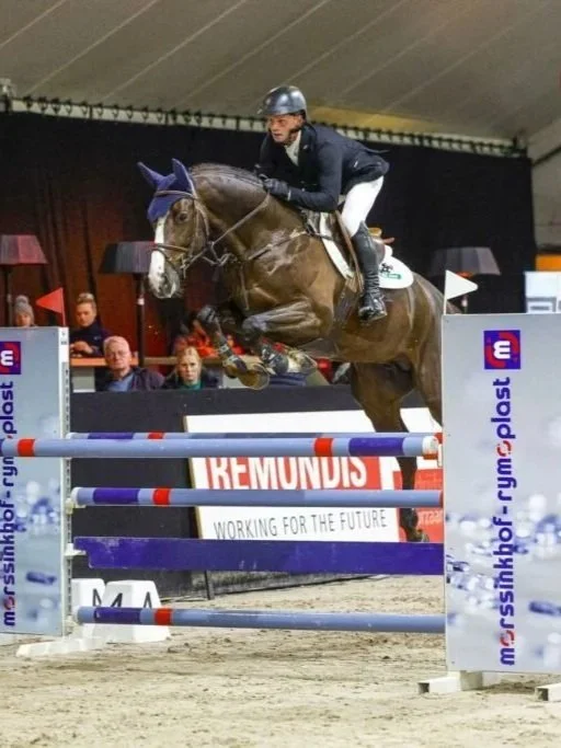 KWPN performance test champion New Pleasure VDL. 1.45m jumper