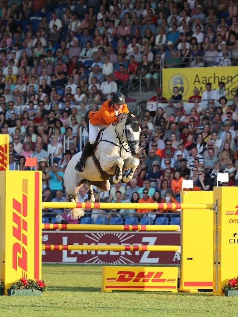 Zirocco Blue, Aachen, Grand Prix, champion sire